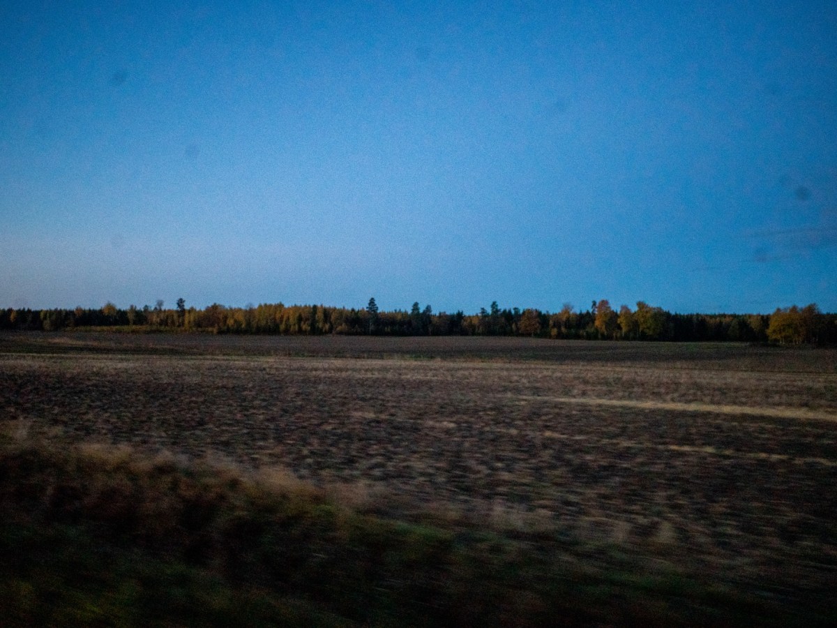 Varsitt minne